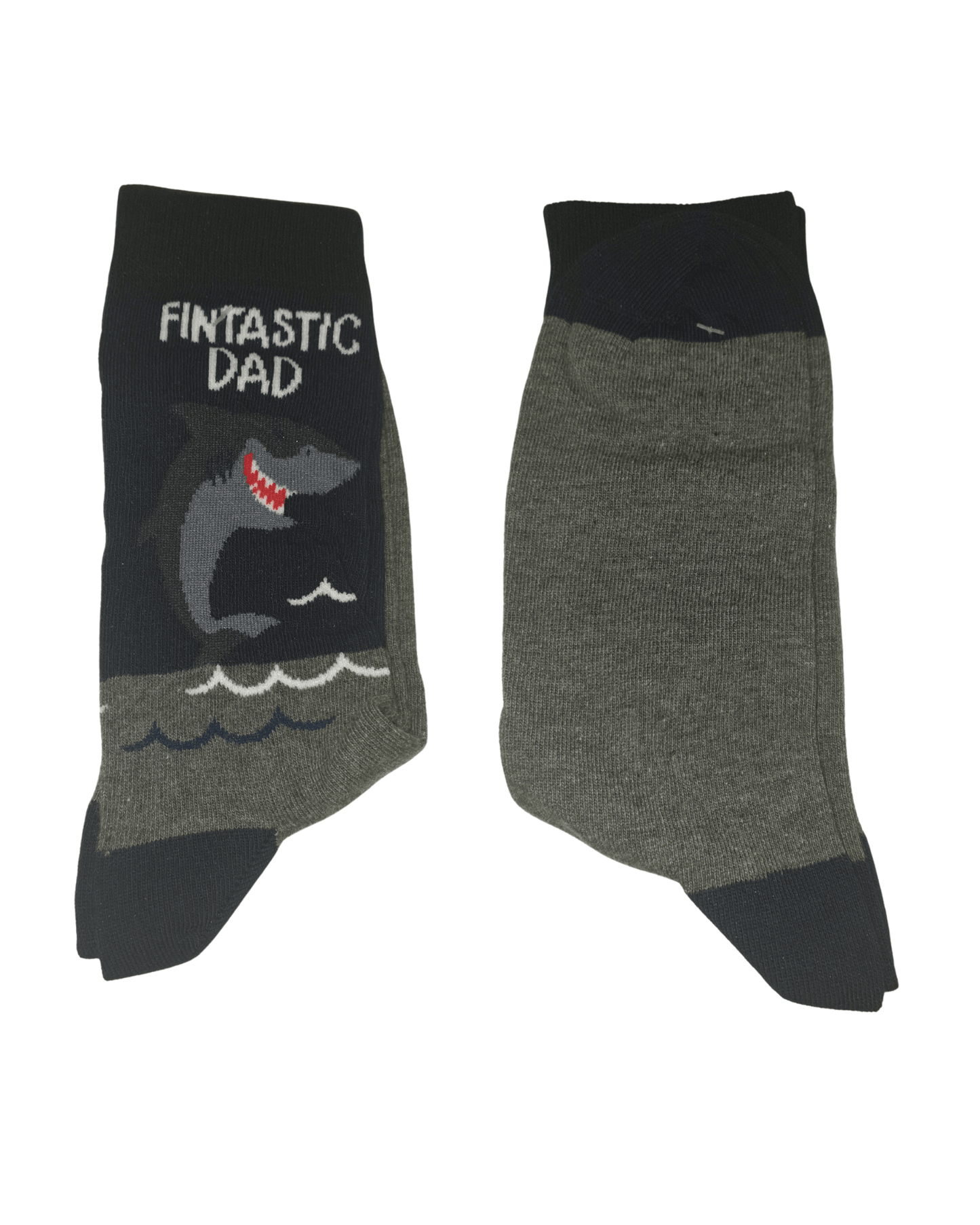 Fintastic Dad