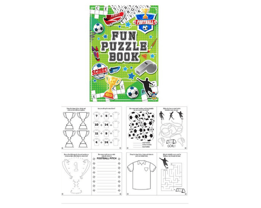 Fun Puzzle Book
