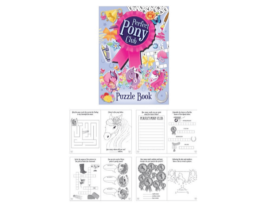 Mini Pony Puzzle Book